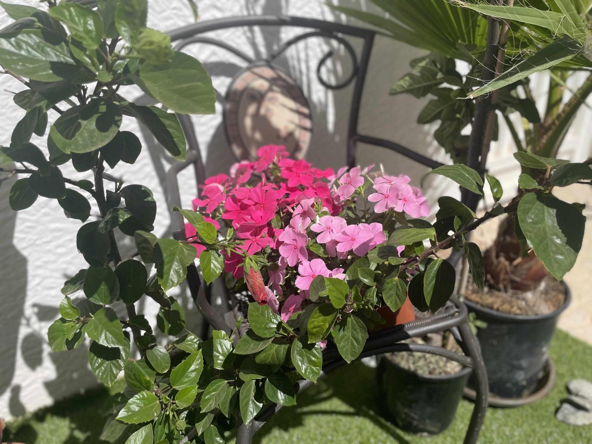 Flamingo Gran Alacant Apartment