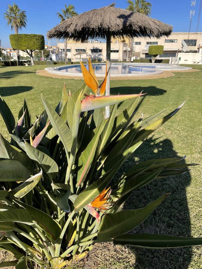 Appartamento Flamingo Gran Alacant *